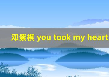 邓紫棋 you took my heart away